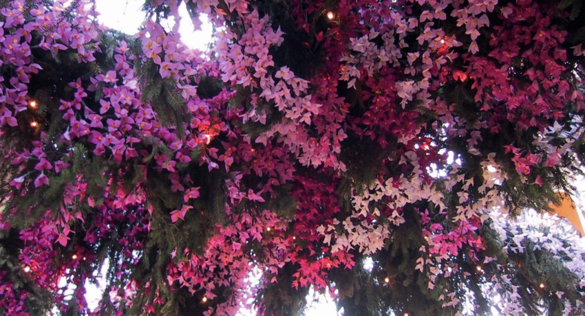 GRUISEO 2 - Papierblumenfest - Festa dei Fiori